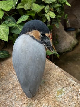 神戸どうぶつ王国に投稿された画像（2024/1/20）