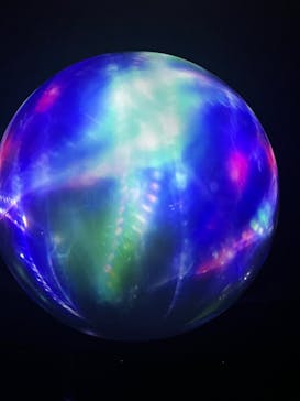 NIFREL（ニフレル）に投稿された画像（2024/1/20）