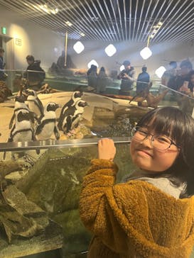 NIFREL（ニフレル）に投稿された画像（2024/1/20）