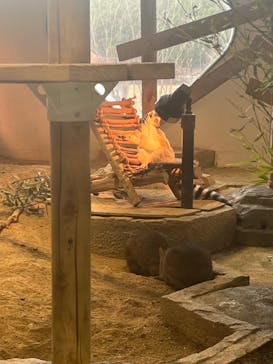 NIFREL（ニフレル）に投稿された画像（2024/1/20）