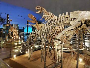 福井県立恐竜博物館に投稿された画像（2024/1/20）