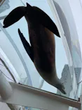 サンシャイン水族館に投稿された画像（2024/1/20）