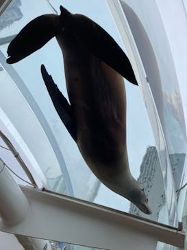 サンシャイン水族館に投稿された画像（2024/1/20）