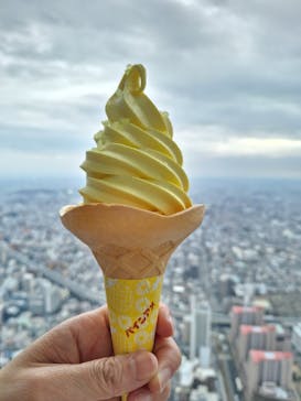 ハルカス300(展望台)に投稿された画像（2024/1/20）