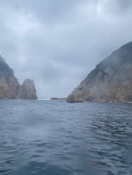 青海島観光汽船に投稿された画像（2024/1/20）
