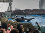 名古屋港水族館に投稿された画像（2024/1/20）