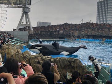 名古屋港水族館に投稿された画像（2024/1/20）