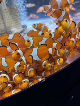 鴨川シーワールドに投稿された画像（2024/1/20）