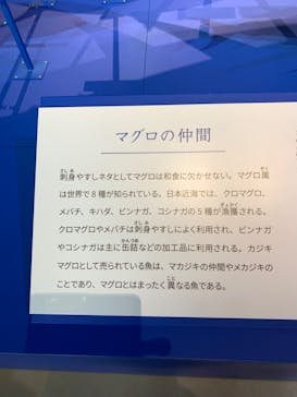 特別展「和食 ～日本の自然、人々の知恵～」に投稿された画像（2024/1/20）