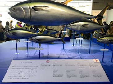 特別展「和食 ～日本の自然、人々の知恵～」に投稿された画像（2024/1/20）