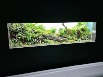 AOAO SAPPOROに投稿された画像（2024/1/20）