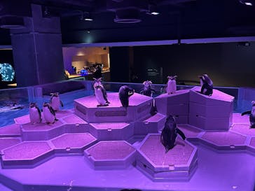 AOAO SAPPOROに投稿された画像（2024/1/20）