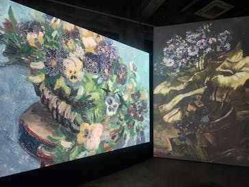 ゴッホ・アライブに投稿された画像（2024/1/20）