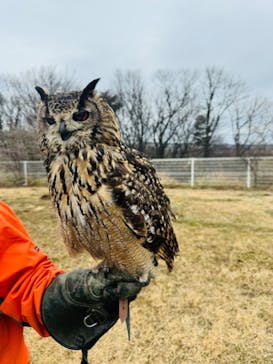 那須どうぶつ王国に投稿された画像（2024/1/20）