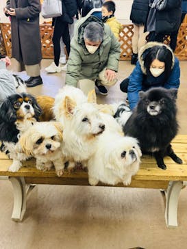 那須どうぶつ王国に投稿された画像（2024/1/20）