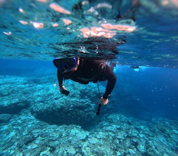 石垣島 ADVENTURE PiPi（イシガキジマアドベンチャーピピ）に投稿された画像（2024/1/20）