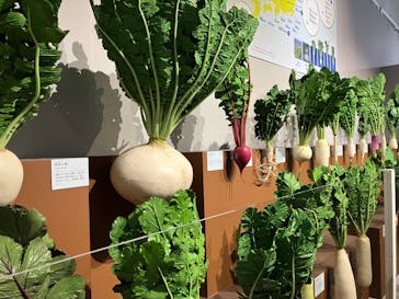 特別展「和食 ～日本の自然、人々の知恵～」に投稿された画像（2024/1/20）