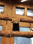 伊豆シャボテン動物公園に投稿された画像（2024/1/20）
