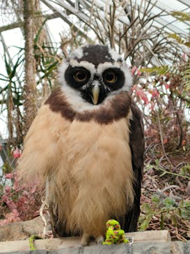 伊豆シャボテン動物公園に投稿された画像（2024/1/20）