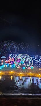 修善寺虹の郷に投稿された画像（2024/1/20）