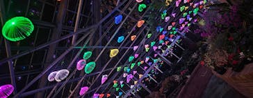 修善寺虹の郷に投稿された画像（2024/1/20）