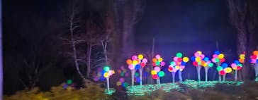 修善寺虹の郷に投稿された画像（2024/1/20）