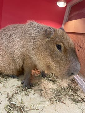 アニタッチ MARK IS 静岡に投稿された画像（2024/1/20）