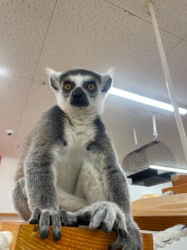 アニタッチ MARK IS 静岡に投稿された画像（2024/1/20）