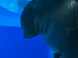 サンシャイン水族館に投稿された画像（2024/1/20）