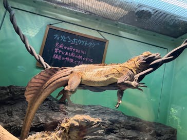 サンシャイン水族館に投稿された画像（2024/1/20）