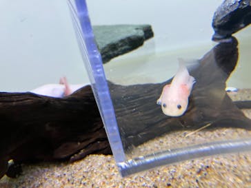 サンシャイン水族館に投稿された画像（2024/1/20）