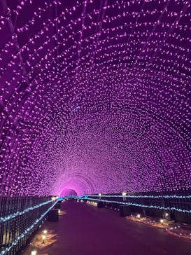 NESTA RESORT KOBE（ネスタリゾート神戸）に投稿された画像（2024/1/20）