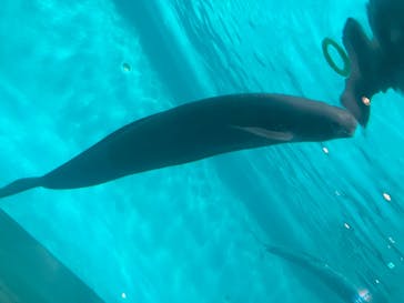 マリンワールド海の中道に投稿された画像（2024/1/20）