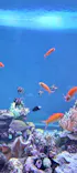 サンシャイン水族館に投稿された画像（2024/1/20）