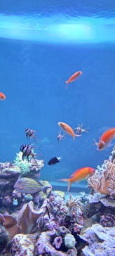 サンシャイン水族館に投稿された画像（2024/1/20）