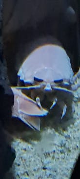 サンシャイン水族館に投稿された画像（2024/1/20）