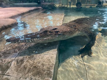 NIFREL（ニフレル）に投稿された画像（2024/1/20）