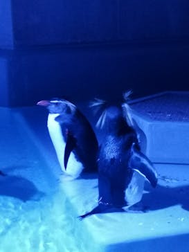 AOAO SAPPOROに投稿された画像（2024/1/20）