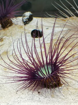 AOAO SAPPOROに投稿された画像（2024/1/20）