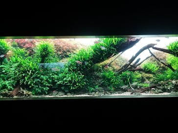 AOAO SAPPOROに投稿された画像（2024/1/20）