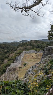 今帰仁城跡に投稿された画像（2024/1/20）