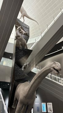 福井県立恐竜博物館に投稿された画像（2024/1/21）