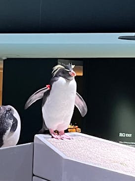 AOAO SAPPOROに投稿された画像（2024/1/21）