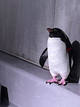 AOAO SAPPOROに投稿された画像（2024/1/21）