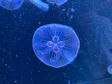 AOAO SAPPOROに投稿された画像（2024/1/21）