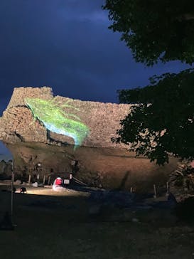 今帰仁城跡に投稿された画像（2024/1/21）