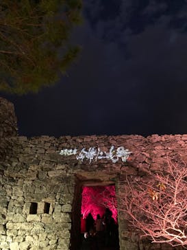 今帰仁城跡に投稿された画像（2024/1/21）