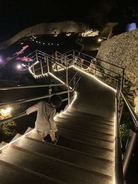 今帰仁城跡に投稿された画像（2024/1/21）