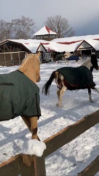 ノーザンホースパークに投稿された画像（2024/1/21）