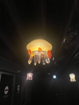 京都水族館に投稿された画像（2024/1/21）